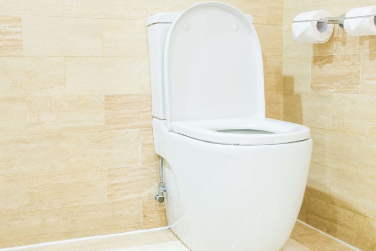 diferentes-tipos-de-instalacion-de-inodoros-para-un-bano-perfecto tipos de instalación de inodoros