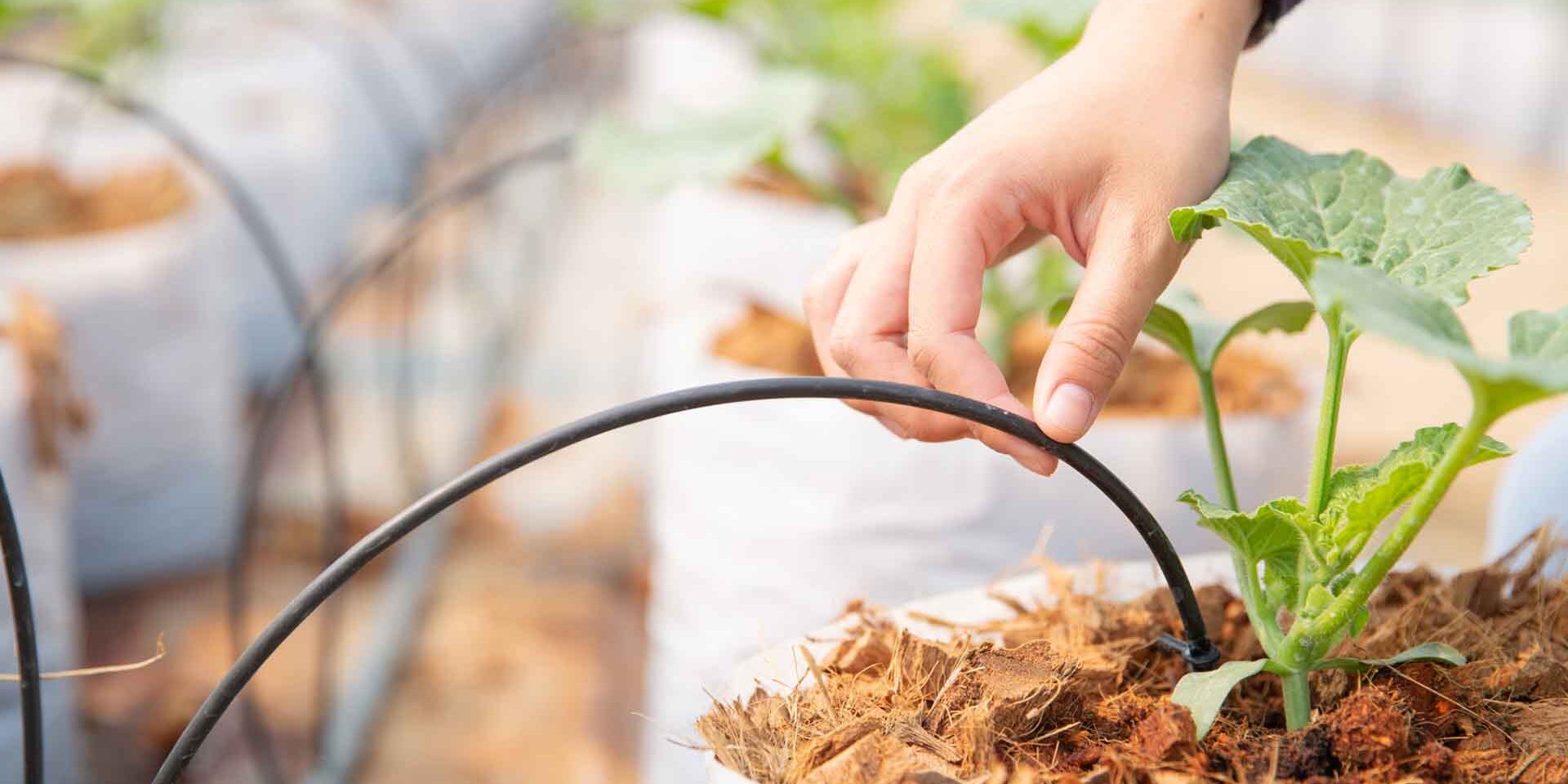 problemas de tuberías en el jardín