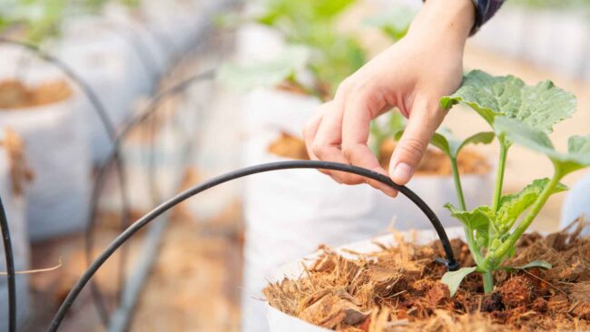 35-como-evitar-problemas-de-tuberias-en-el-jardin problemas de tuberías en el jardín