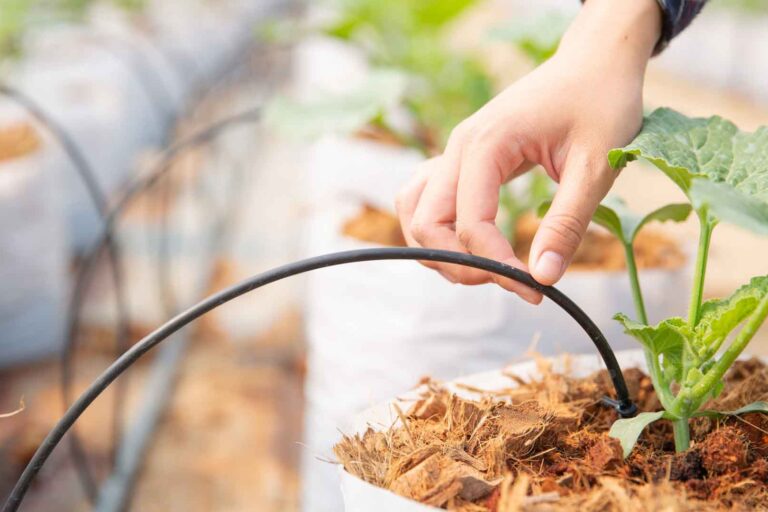 35-como-evitar-problemas-de-tuberias-en-el-jardin problemas de tuberías en el jardín